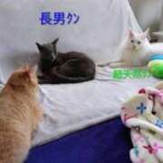 ヒメ日記 2026/03/30 20:05 投稿 まりあ feel＆airi