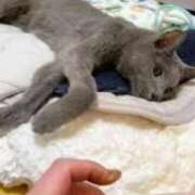 ヒメ日記 2026/03/31 06:38 投稿 まりあ feel＆airi