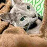 ヒメ日記 2026/03/31 21:45 投稿 まりあ feel＆airi