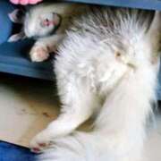 ヒメ日記 2026/04/04 07:55 投稿 まりあ feel＆airi