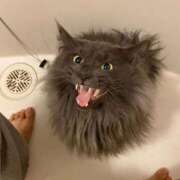 ヒメ日記 2026/04/06 14:35 投稿 まりあ feel＆airi