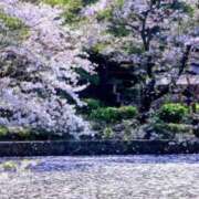 ヒメ日記 2026/04/08 16:25 投稿 まりあ feel＆airi