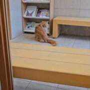 ヒメ日記 2026/04/10 13:05 投稿 まりあ feel＆airi