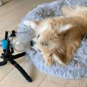 ヒメ日記 2026/06/30 14:05 投稿 まりあ feel＆airi