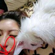 ヒメ日記 2026/07/05 22:15 投稿 まりあ feel＆airi
