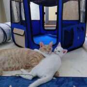 ヒメ日記 2026/07/07 07:35 投稿 まりあ feel＆airi