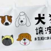 ヒメ日記 2026/07/08 16:05 投稿 まりあ feel＆airi