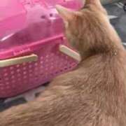 ヒメ日記 2026/07/13 12:05 投稿 まりあ feel＆airi