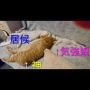 ヒメ日記 2026/07/15 07:35 投稿 まりあ feel＆airi