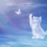 ヒメ日記 2026/07/29 20:05 投稿 まりあ feel＆airi