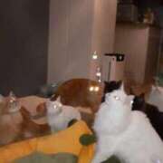 ヒメ日記 2026/08/10 20:15 投稿 まりあ feel＆airi