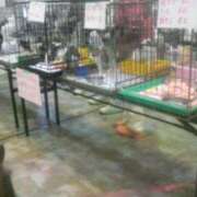 ヒメ日記 2026/08/14 16:35 投稿 まりあ feel＆airi
