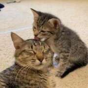 ヒメ日記 2026/09/03 10:45 投稿 まりあ feel＆airi