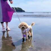 ヒメ日記 2026/10/07 18:45 投稿 まりあ feel＆airi