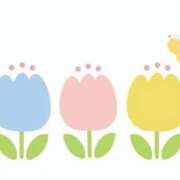 ヒメ日記 2025/12/18 21:16 投稿 セリナ マテリアル