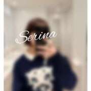 セリナ 本日は? マテリアル