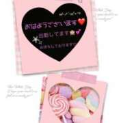 ヒメ日記 2026/03/02 11:25 投稿 けい未経験 マダム可憐