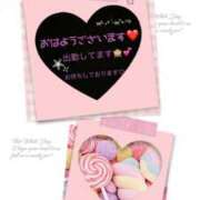 ヒメ日記 2026/03/10 10:15 投稿 けい未経験 マダム可憐