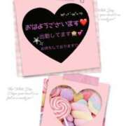 ヒメ日記 2026/03/15 10:05 投稿 けい未経験 マダム可憐