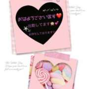 ヒメ日記 2026/03/19 10:39 投稿 けい未経験 マダム可憐