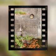 ヒメ日記 2026/04/23 10:29 投稿 けい未経験 マダム可憐