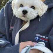 ヒメ日記 2025/12/17 08:05 投稿 みさ★S級！敏感潮吹きの逸材★ Chloe錦糸町店 S級素人清楚系デリヘル