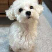 ヒメ日記 2026/01/05 06:19 投稿 みさ★S級！敏感潮吹きの逸材★ Chloe錦糸町店 S級素人清楚系デリヘル