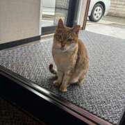 ヒメ日記 2026/04/01 19:33 投稿 りさ CLUB DEEP 博多