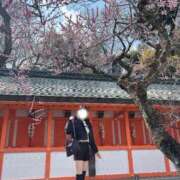 ヒメ日記 2026/04/14 19:57 投稿 こよい カクテル(岡山)