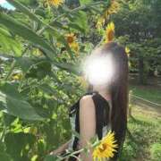 ヒメ日記 2025/12/21 23:59 投稿 風神歴代最高峰スター 風神会館新宿店