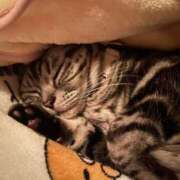 ヒメ日記 2025/12/30 09:05 投稿 ゆいにゃん One More 奥様 小岩店