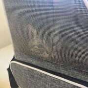 ヒメ日記 2026/04/10 19:25 投稿 ゆいにゃん One More 奥様 小岩店