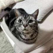 ヒメ日記 2026/04/16 19:45 投稿 ゆいにゃん One More 奥様 小岩店