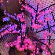 ヒメ日記 2025/12/20 23:55 投稿 ふうか 熟女の風俗最終章 錦糸町店