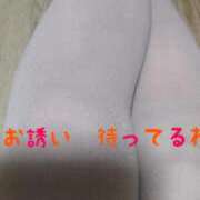 ヒメ日記 2026/02/23 09:45 投稿 ふうか 熟女の風俗最終章 錦糸町店