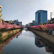 ヒメ日記 2026/03/01 17:05 投稿 ふうか 熟女の風俗最終章 錦糸町店