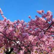 ヒメ日記 2026/03/11 21:39 投稿 ふうか 熟女の風俗最終章 錦糸町店