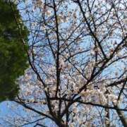 ヒメ日記 2026/04/03 20:35 投稿 ふうか 熟女の風俗最終章 錦糸町店