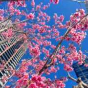 ヒメ日記 2026/02/22 17:01 投稿 アサミ アリスマリオン