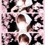 ヒメ日記 2026/03/23 22:01 投稿 アサミ アリスマリオン