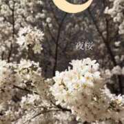 ヒメ日記 2026/03/28 21:31 投稿 アサミ アリスマリオン