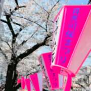 ヒメ日記 2026/04/02 15:31 投稿 アサミ アリスマリオン