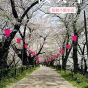 ヒメ日記 2026/04/08 11:01 投稿 アサミ アリスマリオン