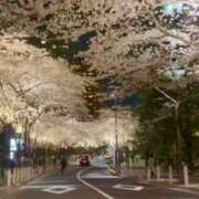 ヒメ日記 2026/04/09 22:16 投稿 アサミ アリスマリオン