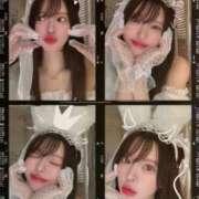 ヒメ日記 2025/12/17 15:31 投稿 立花あおい 華椿