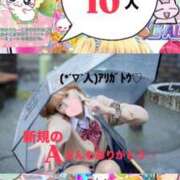 ヒメ日記 2026/02/08 10:16 投稿 立花あおい 華椿