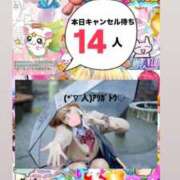 ヒメ日記 2026/03/24 14:01 投稿 立花あおい 華椿