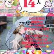 ヒメ日記 2026/04/26 09:16 投稿 立花あおい 華椿