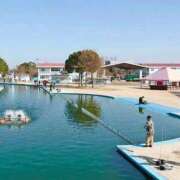 ヒメ日記 2026/02/05 09:01 投稿 乙葉めぐみ MADAM