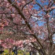 ヒメ日記 2026/02/20 08:01 投稿 乙葉めぐみ MADAM